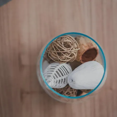 Apartment Dreamers' House