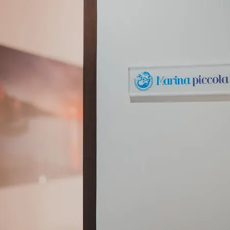 Apartment Dreamers' House