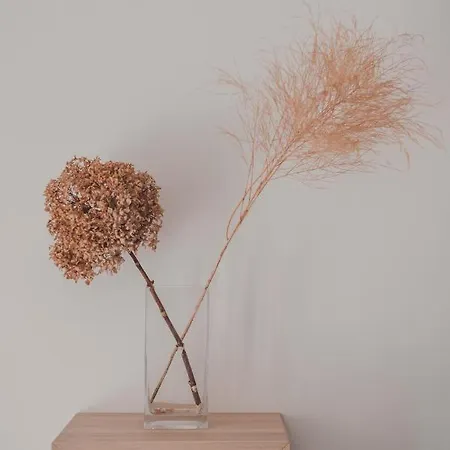 Appartement Dreamers' House