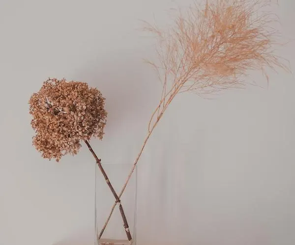 Apartament Dreamers' House